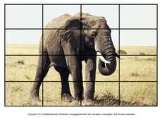 Puzzle-Elefanten-2.pdf